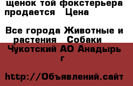 щенок той-фокстерьера продается › Цена ­ 25 000 - Все города Животные и растения » Собаки   . Чукотский АО,Анадырь г.